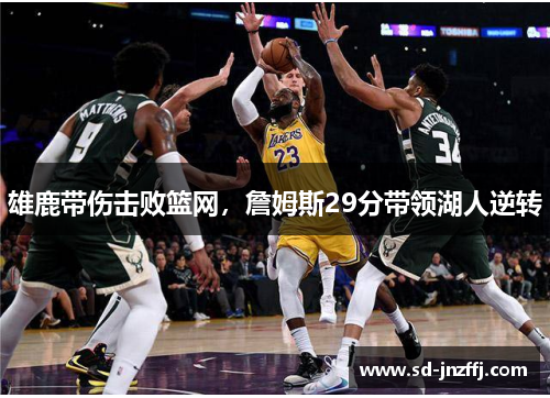 雄鹿带伤击败篮网，詹姆斯29分带领湖人逆转