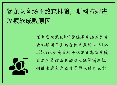猛龙队客场不敌森林狼，斯科拉姆进攻疲软成败原因